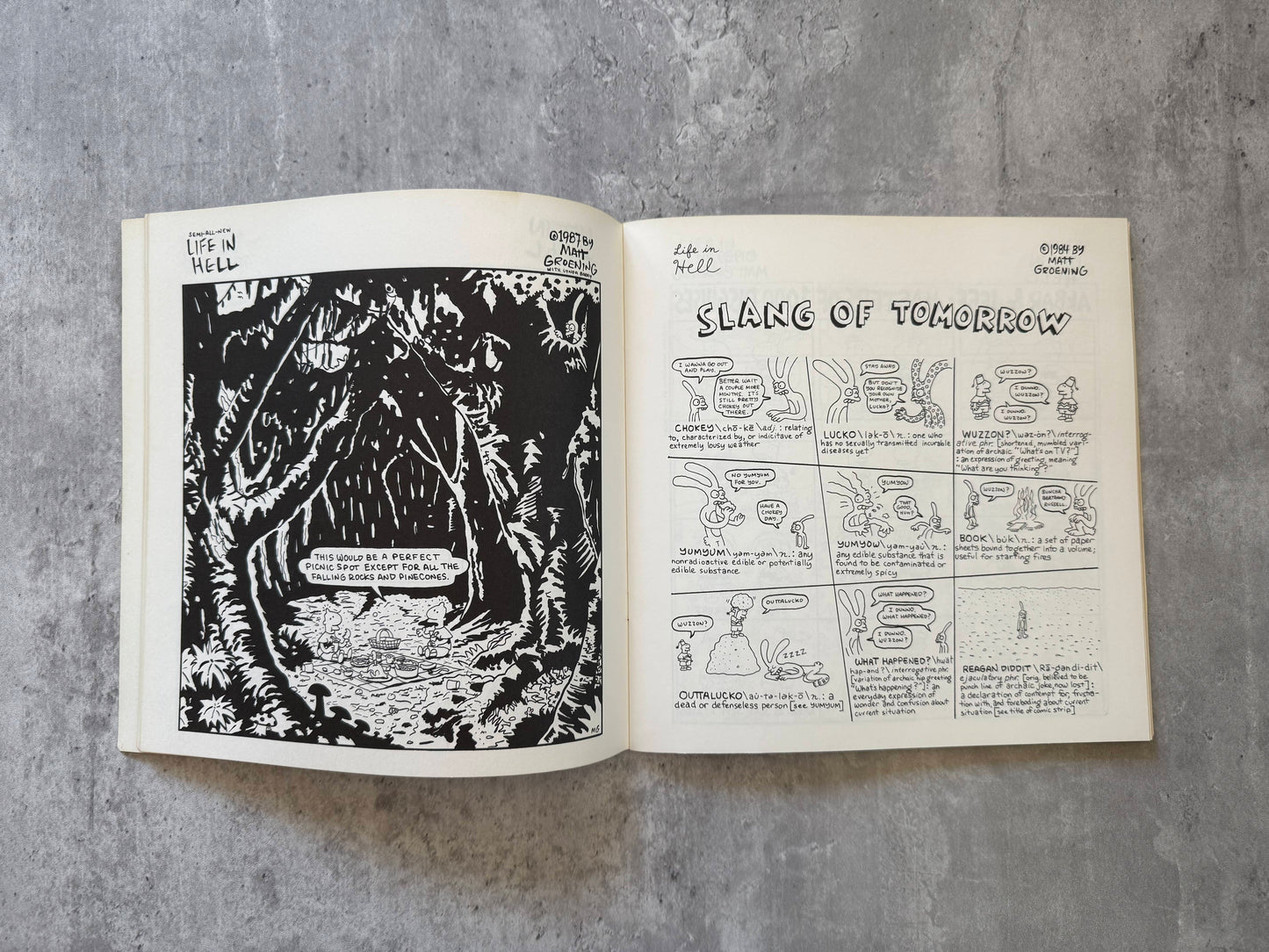 Open book with black and white illustrations on a gray textured background. Akbar & Jeff's Guide to Life by Matt Groening. Shop for new and used books with The Stone Circle, the only online bookstore near you in Nevada City, California.