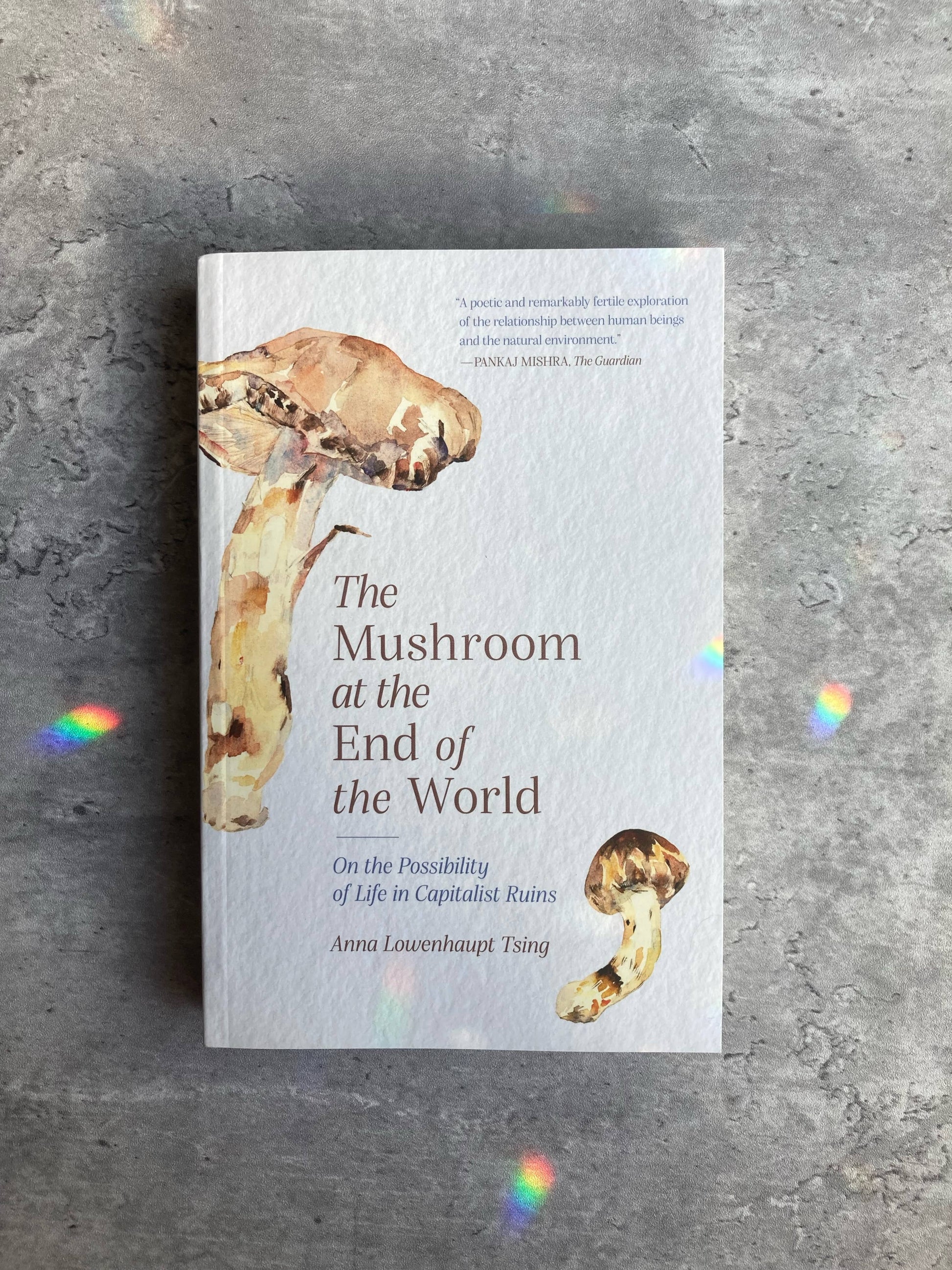 The Mushroom at the End of the World by Anna Lowenhaupt Tsing. Shop for new and used books with The Stone Circle, the only online bookstore near you in Los Angeles, California.