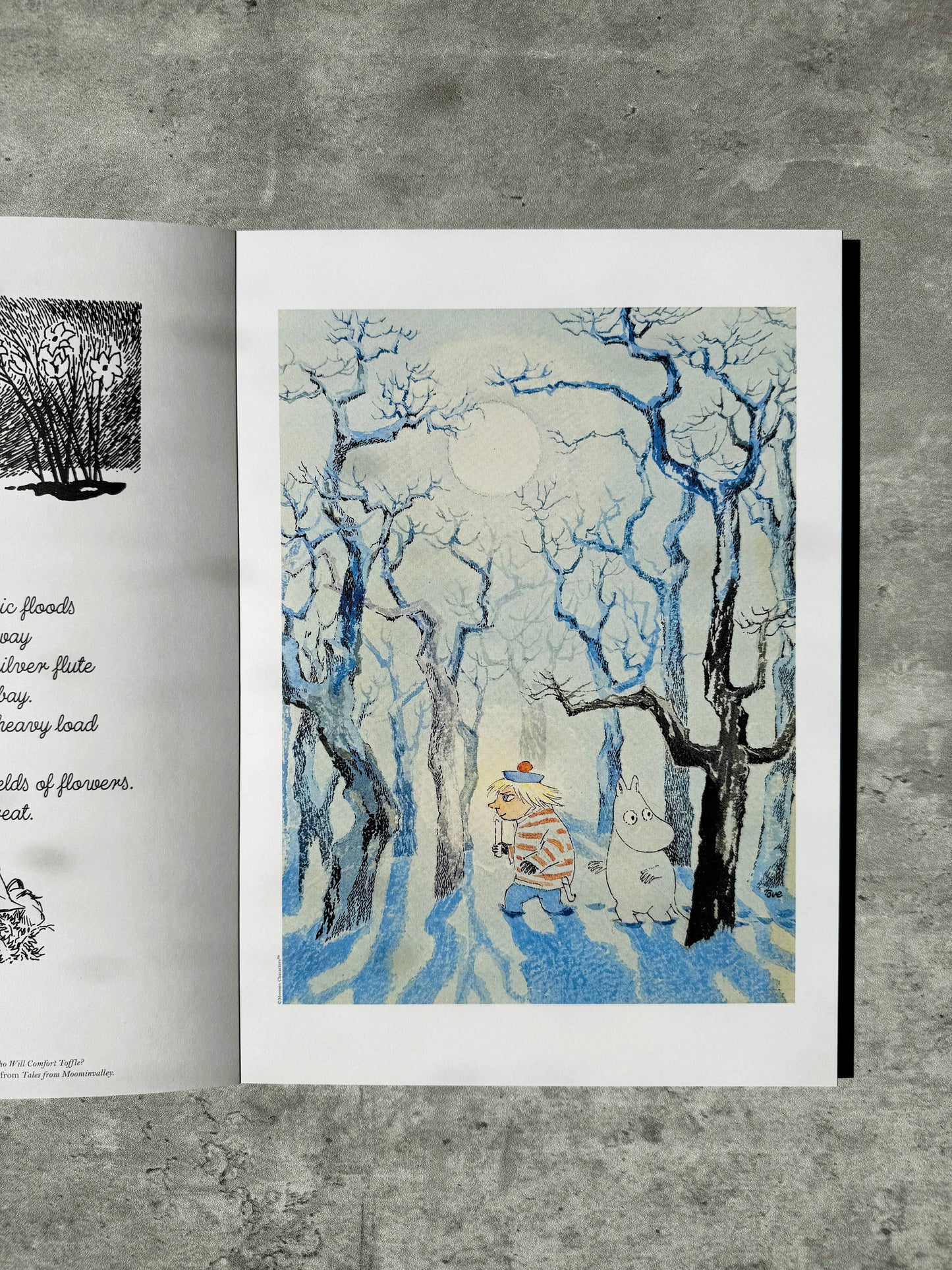 Moomin Pull-Out Prints: Tove Jansson's Art & Pictures