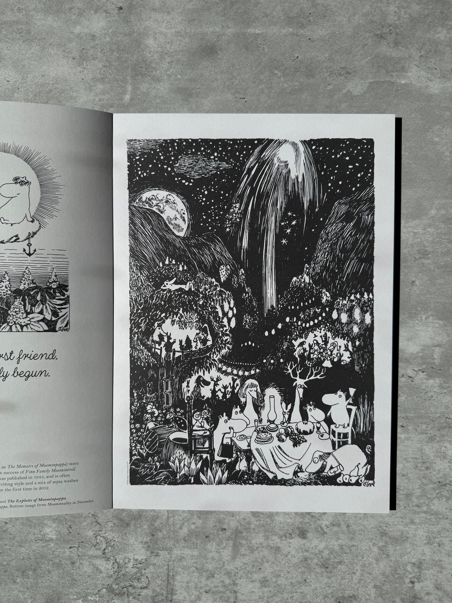 Moomin Pull-Out Prints: Tove Jansson's Art & Pictures