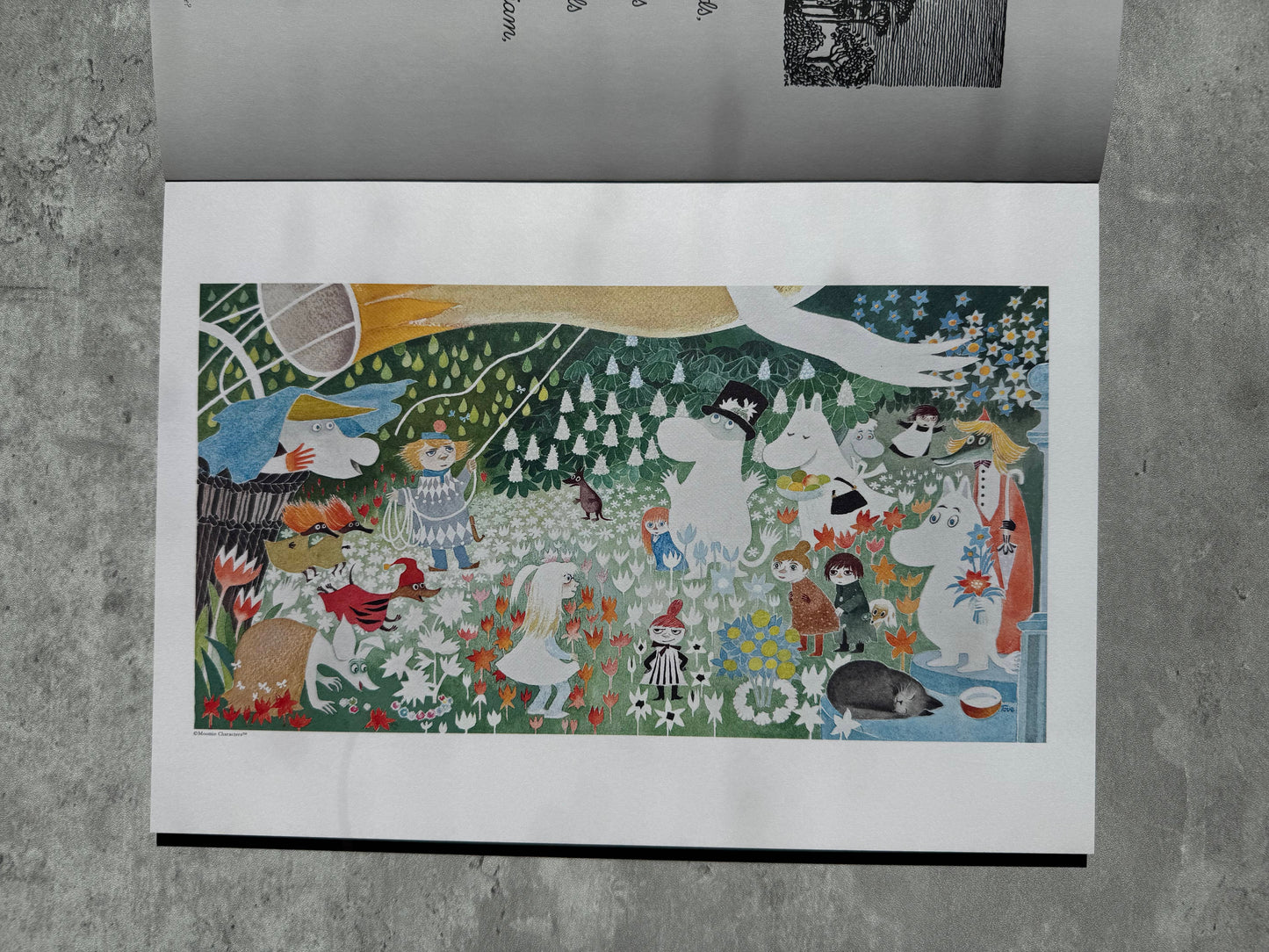 Moomin Pull-Out Prints: Tove Jansson's Art & Pictures