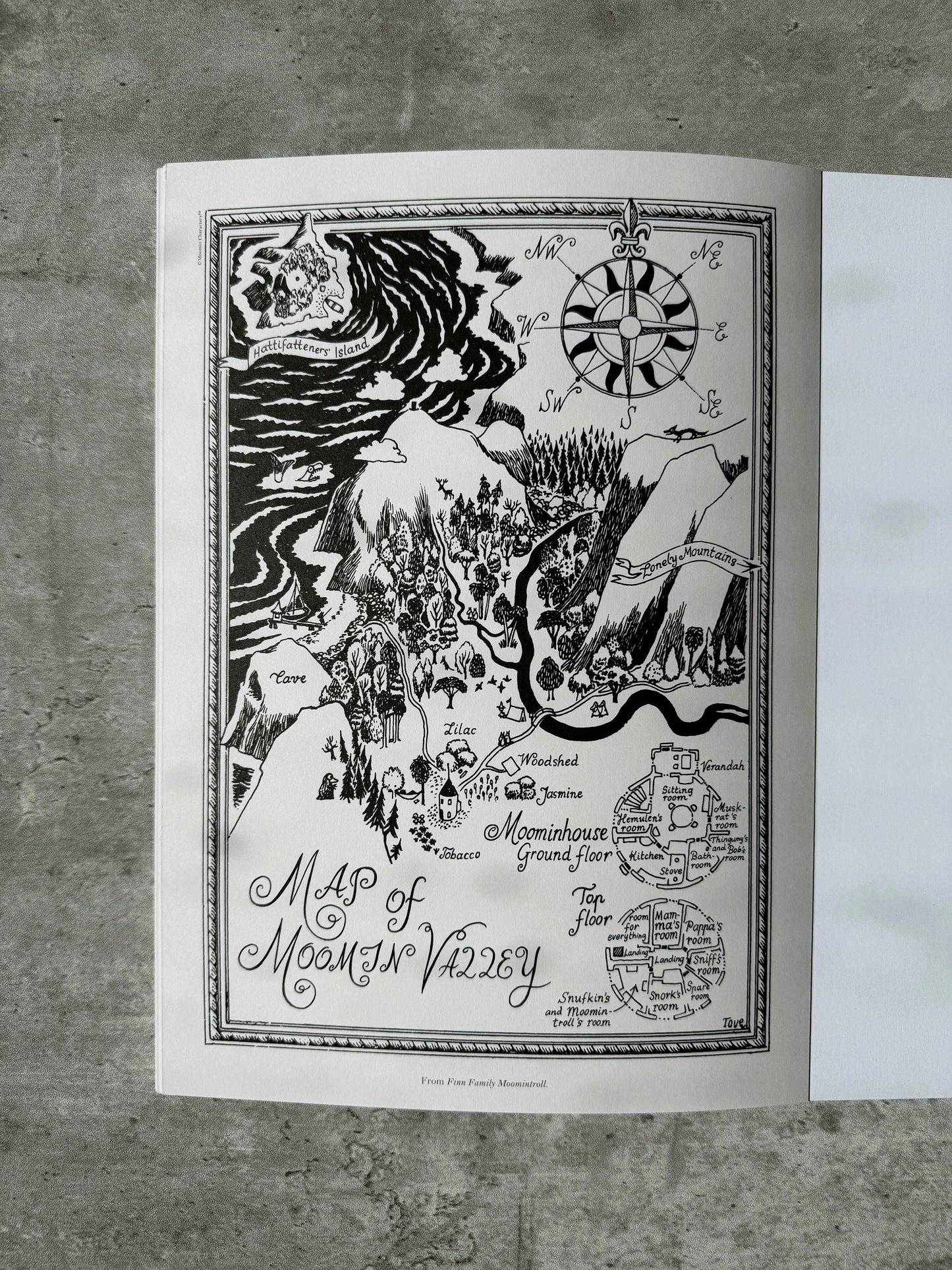 Moomin Pull-Out Prints: Tove Jansson's Art & Pictures