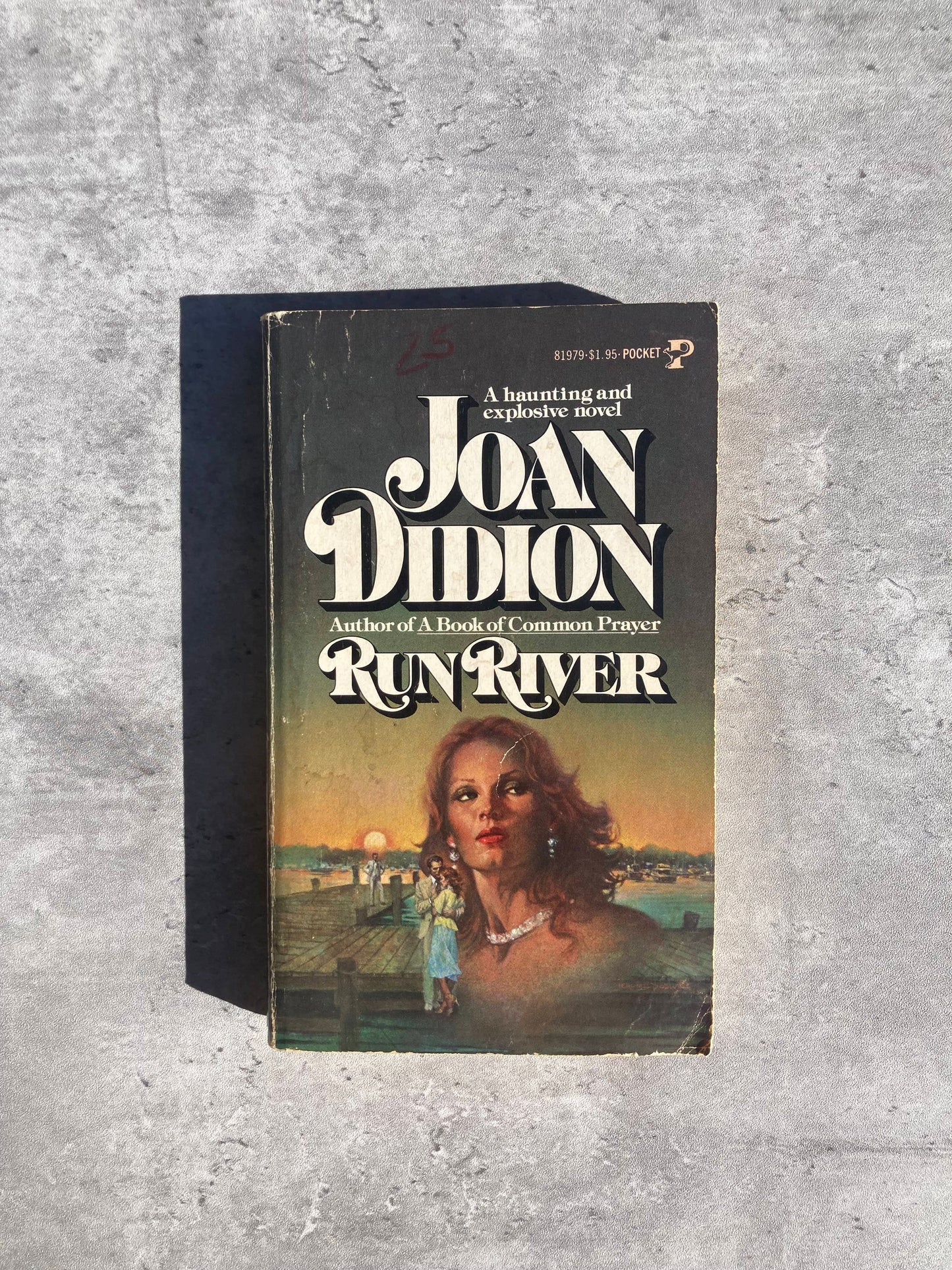 Run River by Joan Didion. Shop for new and used books with The Stone Circle, the only online bookstore near you in Nevada City, California.