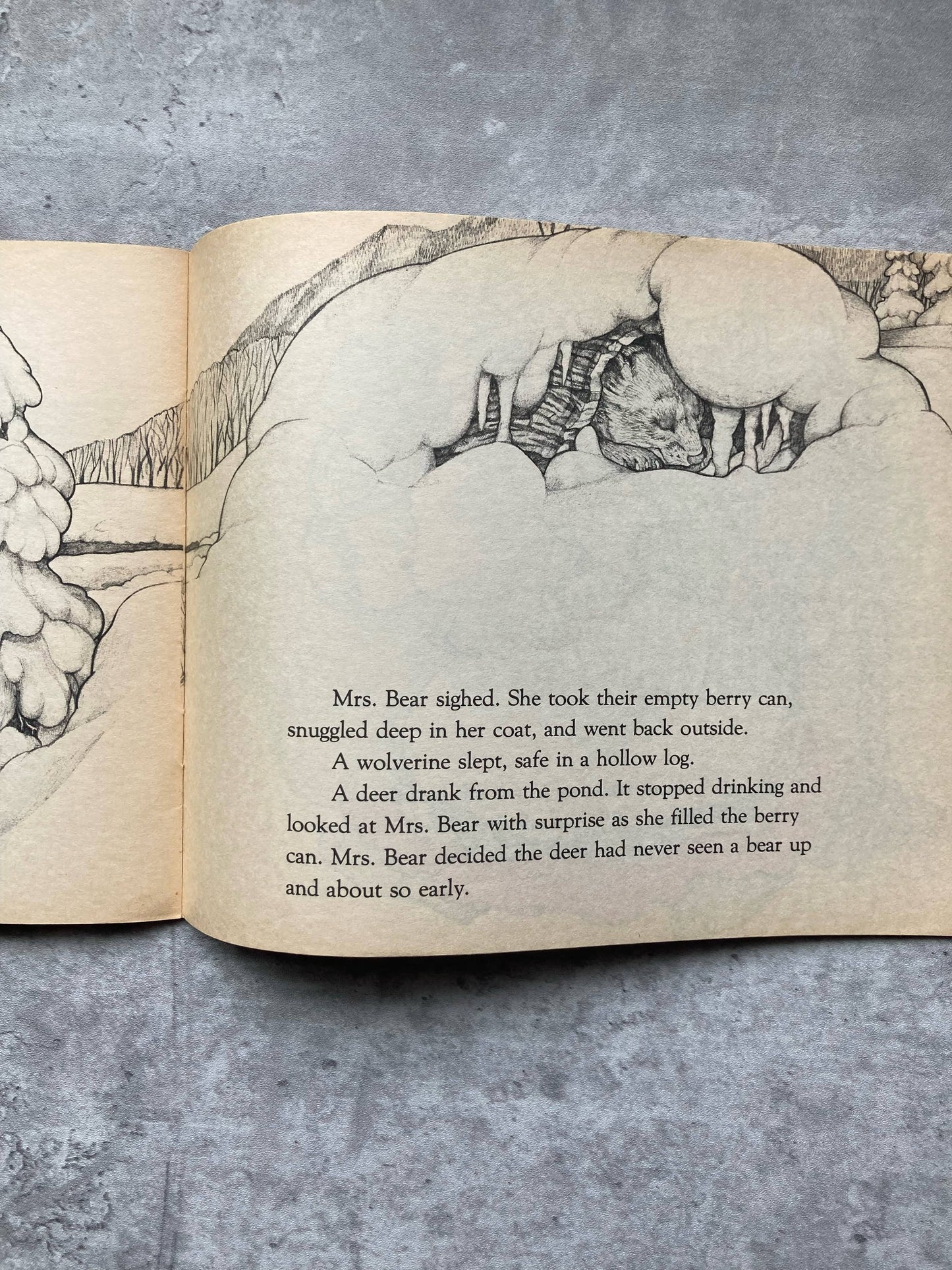 The Valentine Bears by Eve Bunting and Jan Brett. Shop for new and used books with The Stone Circle, the only online bookstore near you in Los Angeles, California.