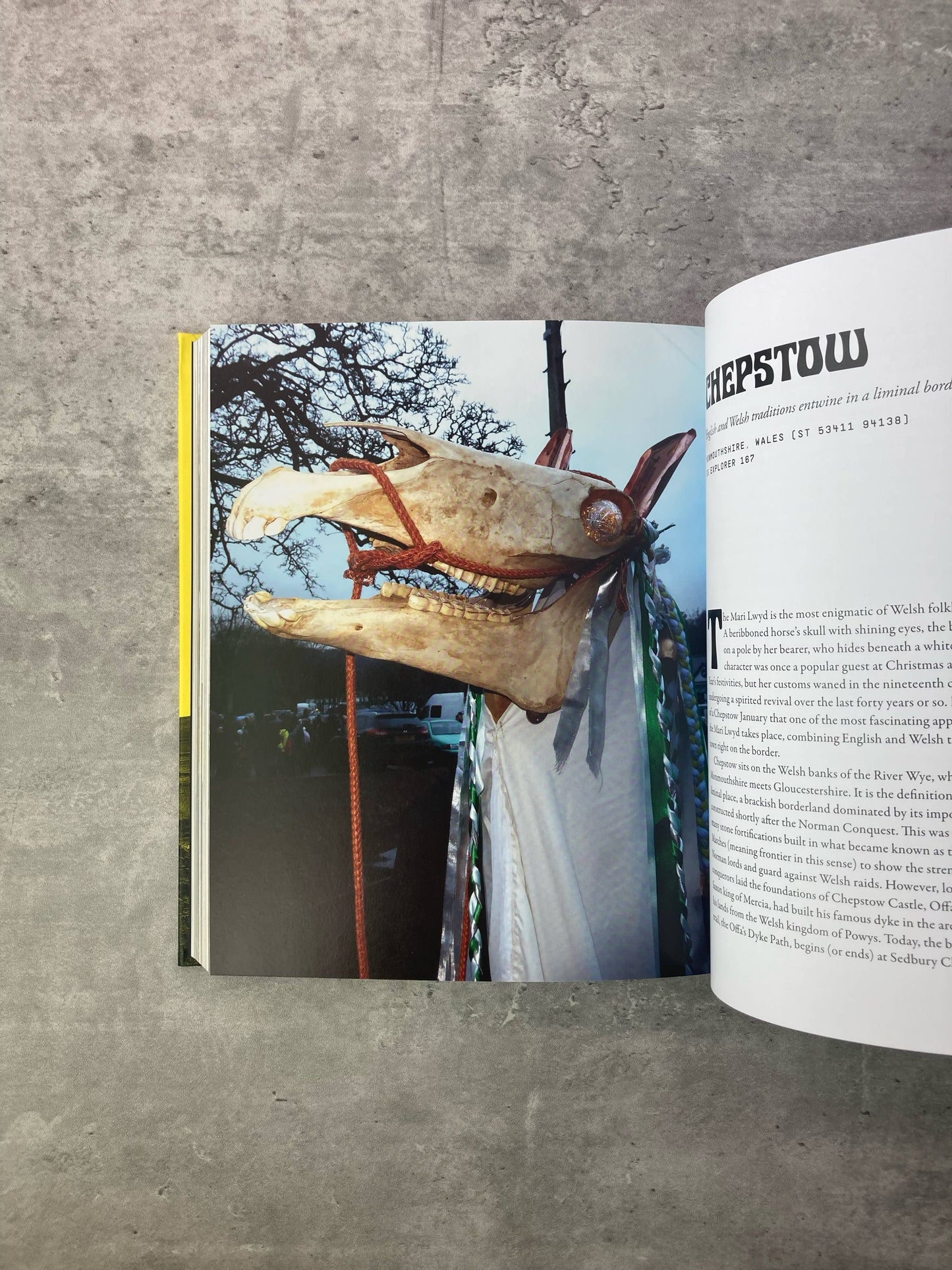 Weird Walk book. Shop all new and used books online at The Stone Circle, the only online bookstore in Los Angeles, California.