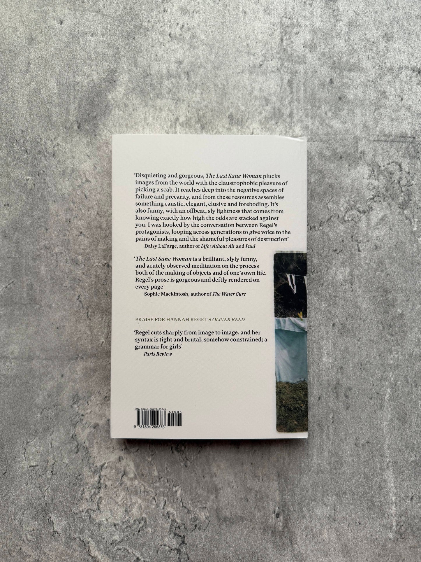 The Last Sane Woman by Hannah Regel. Shop for new and used books with The Stone Circle, the only online bookstore near you in Nevada City, California.