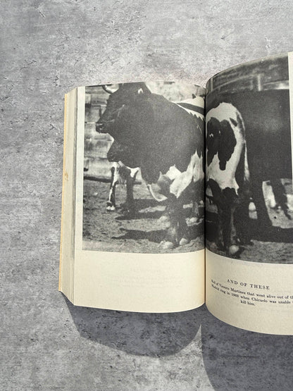 Death in the Afternoon by Ernest Hemingway. Shop for new and used books with The Stone Circle, the only online bookstore near you in Nevada City, California.