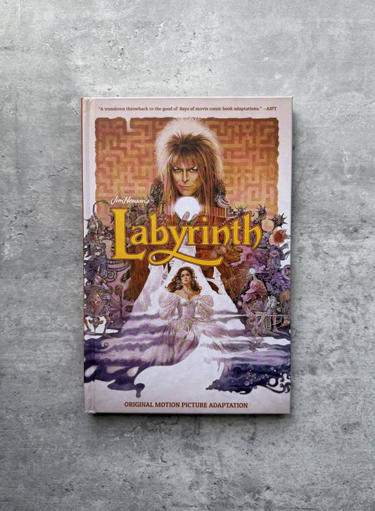 Jim Henson's Labyrinth, graphic novel version. Shop for new and used books with The Stone Circle, the only online bookstore near you in Nevada City, California.