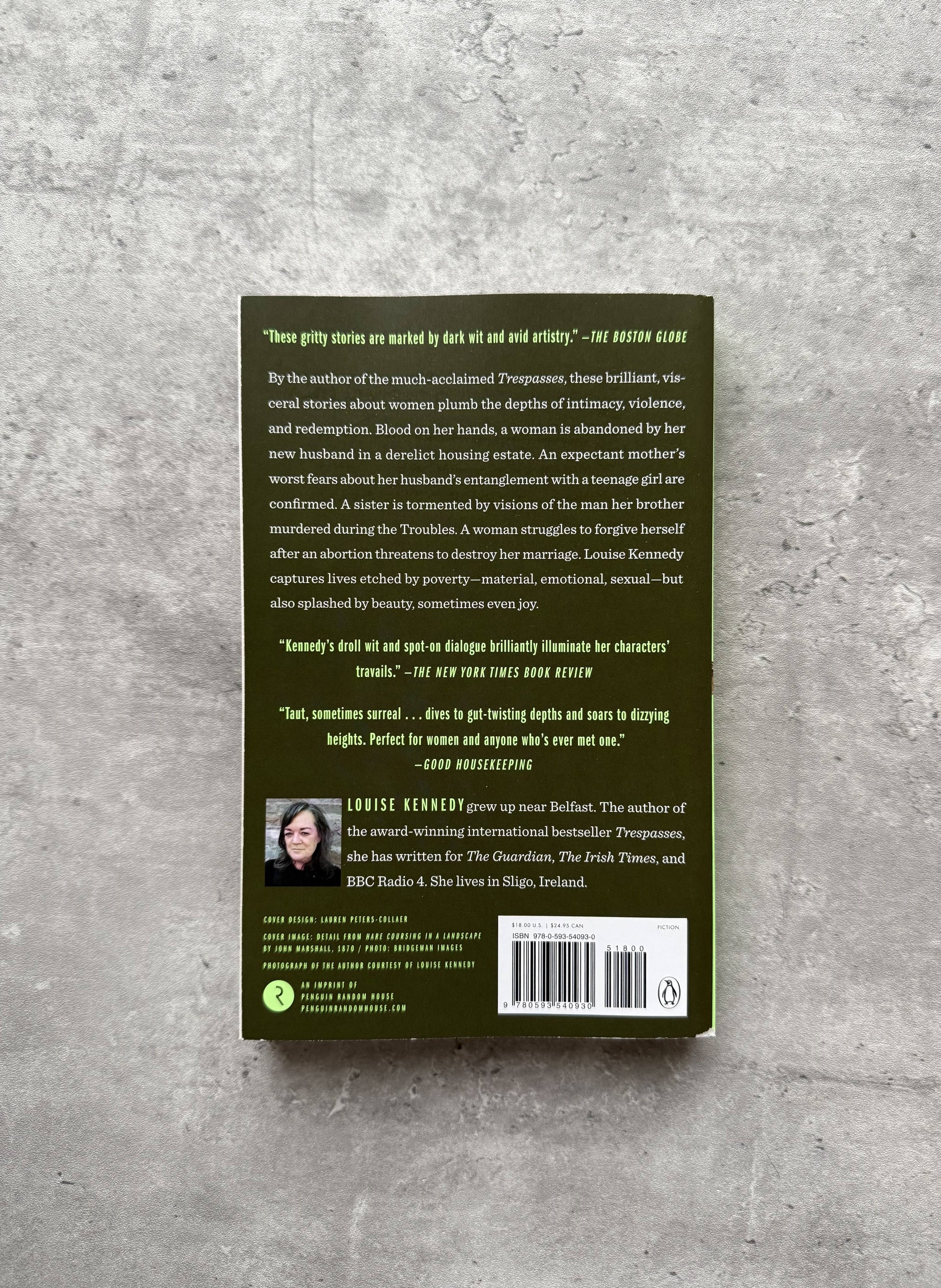 The End of the World Is a Cul de Sac: Stories by Louise Kennedy. Shop for new and used books with The Stone Circle, the only online bookstore near you in Nevada City, California.